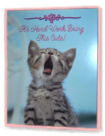 kitten-poster